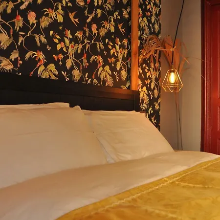 Grand Tour Design Self Check-in Bed & Breakfast
